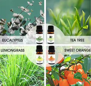 <span class=keywords><strong>Oli</strong></span> <span class=keywords><strong>Essenziali</strong></span> per Diffusori Aromtopia, Fragranze per la Casa, Profumi per la Produzione di Candele e Saponi - Product Image 6