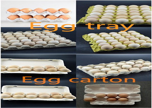 새로운 스타일 더 용량 종이 트레이 메이커 기계 - Product Image 3