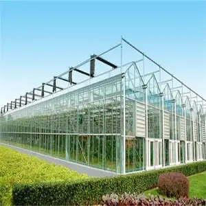Procurement Festival hot Sell intelligente kommerzielle Hydro ponik systeme Solar Tomaten glas Gewächshaus zum Verkauf verwendet