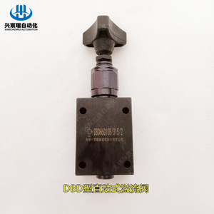 Vanne de décharge à action directe de type Dbd, port 1/2 pouce, pression maximale 315 bars, pour utilisation en cas de trop-plein de pompe - Product Image 5