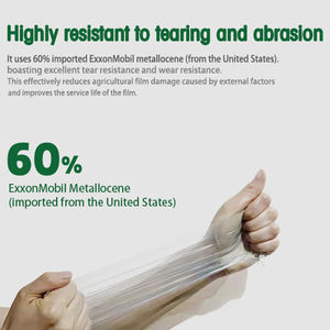فيلم بولي إيثيلين شفاف للبيوت الزراعية من المصنع مباشرة، مقاوم للأشعة فوق البنفسجية ومضاد للتساقط، فيلم بيوت زراعية مصنوع بتقنية النفخ - Product Image 5