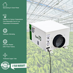 Se Busca Distribuidor Deshumidificador Industrial Agrícola para Invernadero de 230V 70L/Día Precio - Product Image 3