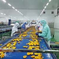 LWT Industriële Automatische Hoge-Snelheid Multi-Capaciteit Fruitfles Was-, Vul- en Afvulmachine Voedselsterilisator voor PET/Glas