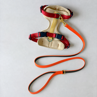 Laisse pour chien en PVC imperméable, robuste, avec sangle enduite bicolore, nouvelle collection de luxe, logo personnalisé, laisse de haute qualité pour promener les animaux