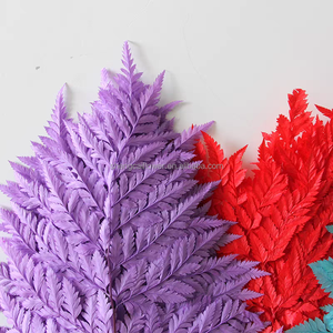 Fiori e piante conservati 10 pz foglie di <span class=keywords><strong>felce</strong></span> bianche secche naturale vera aracniodi in pelle di <span class=keywords><strong>felce</strong></span> per decorazioni per la casa di nozze - Product Image 3