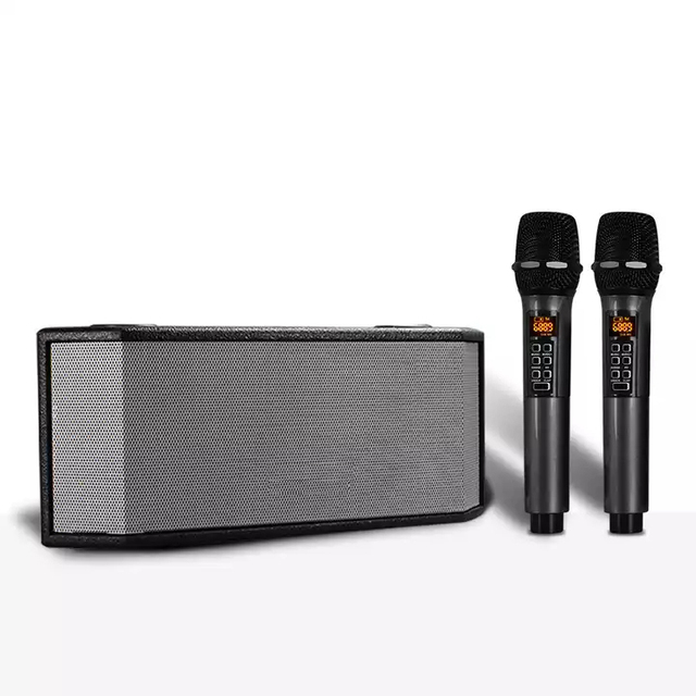 Portable Active Karaoke Speaker with DSP Function UHF Wireless Microphone BT Connecting Phone Metal Construction