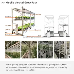 رف زراعي عمودي متنقل رفوف زراعة 4x8 قدم من طبقتين طاولة زراعة داخل البيوت الزجاجية