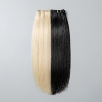 Hand Combed Long Natural Horse Tail Hair Pure Black White Horse Hair for Violin Cello Bow Making