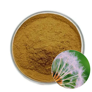 Thảo mộc tự nhiên bồ công anh chiết xuất từ rễ bồ công anh chiết xuất 10:1 bồ công anh chiết xuất bột - Product Image 1