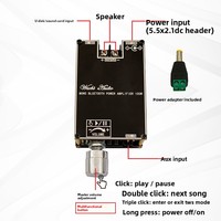 Module d'amplificateur audio mono 100W ZK-1001B avec fonction de couplage TWS TPA3116 Fabriqué en Chine
