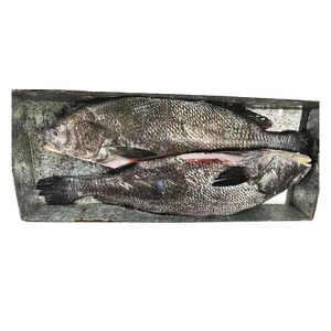 Vente en gros de croaker brun congelé/poisson croaker jaune fourni de Chine - Product Image 1