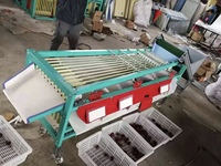 Sorteer- en sorteermachine voor blauwe bessen, sinaasappels, fruit en kleine olijven/tomaten