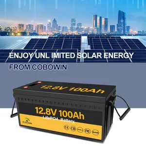 12V 100ah Lifepo4 Battery Plus Low-Temp Protection LiFePO4 Battery 100A BMS Perfect For Solar System RV Camping Boat
