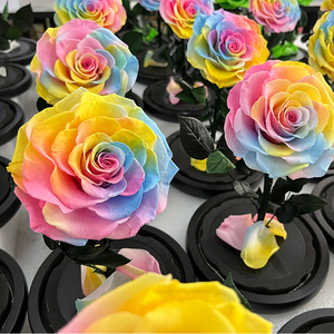 Lovebay Factory Direct Real KonservierteBlumen Long Life Flores naturales Flores estabilizadas Preservadas Eternal Rose Glass Dome - Product Image 4