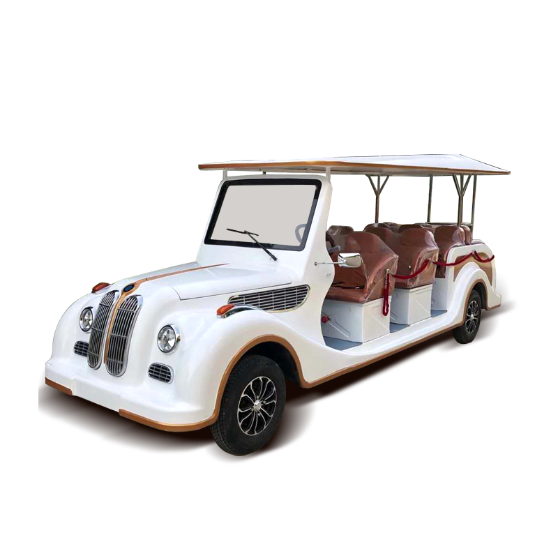 New Energy Vehicles 8 Seater 11