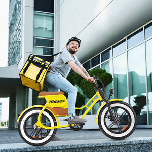 Bicicleta Eléctrica de Neumáticos Gruesos de 7 Velocidades de Alta Calidad, Hidoes C8 Trasera, 48v 17Ah, Bicicleta Eléctrica Potente, Stock en UE, EE. UU. y Reino Unido, Todoterreno - Product Image 2