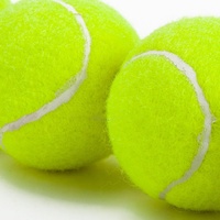 BSCI personnalisé imprimé 2.5 pouces balle de Tennis d'entraînement jouets pour animaux de compagnie balles de Tennis jouets interactifs pour chien pour l'entraînement
