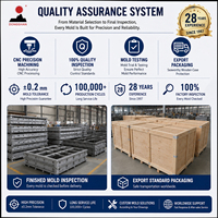 Moule EPS sur mesure de haute précision en alliage d'aluminium pour blocs ICF, boîtes à poissons, emballages d'appareils électroménagers, certifié CE automatique