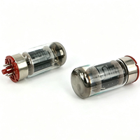 Tube à vide russe reédition Gold Lion KT88, paire/quad assortie, remplacement Pin-to-Pin pour KT88 6550 6550A 6550B pour amplificateur de guitare Hi-Fi