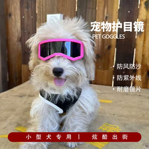 Lunettes de protection pour petits chiens, anti-vent, en plastique, style tendance, toutes saisons, modèle 3042 - Product Image 2