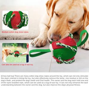 Yeni küçük interaktif açık disk eğitim futbol Modern stil sürdürülebilir şekil değiştiren köpek oyuncaklar Pet malzemeleri - Product Image 5