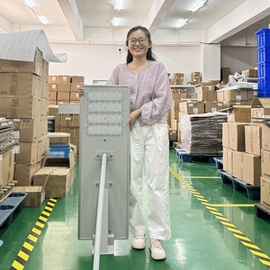 Ip66 500 70w 100w vert de village ufo extérieur réglable rond tout en un lampadaires à led solaires - Product Image 6