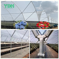 Meilleure vente grand 9x100 Caterpillar Poly tunnel à effet de serre matériau PE pour myrtille framboise ferme marché australien grandes fermes