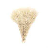 Plumes de paon à œil enfilé naturel à vendre fête carnaval maison mariage pièce maîtresse noël Vase vacances décor bricolage artisanat Floral
