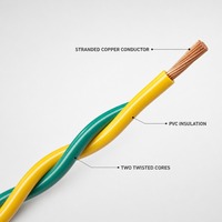 Kabel Fleksibel Tembaga Berinti 2, Isolasi PVC, Tipe Twisted Pair 300/300V RVS untuk Bangunan