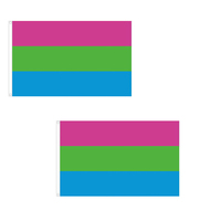 Drapeau de la fierté gay en polyester avec impression de motif, bannière arc-en-ciel transgenre, drapeau de la fierté trans LGBT en satin