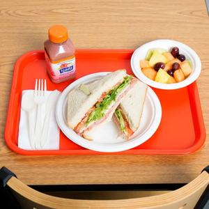 Rectangular PP <b>Plastic</b> Anti-Slip Recyclable Dishwasher Safe Commercial Grade Serving <b>Trays</b> for Restaurant <b>Food</b> Premium - Product Image 4