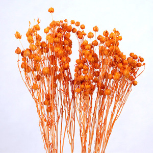 Flores Decorativas de Fábrica, Suministros para Floristería, Ramo de Acacia, Semillas de Lino Secas y Conservadas, Fruta de Jequirity, para el Día de la Madre y Bodas - Product Image 2