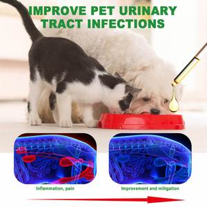 Gocce Naturali per Cani per il Supporto del Tratto Urinario con Mirtillo Rosso per Infezioni della Vescica - Product Image 4