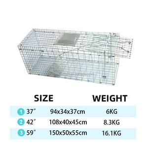 Piège à animaux humain - Cage en métal galvanisé/peint en poudre robuste pour renards et ratons laveurs |   Contrôle des nuisibles écologique et imperméable - Product Image 5