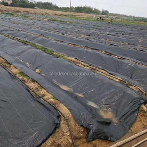Rouleau de tapis de mauvaises herbes géotextile tissé <span class=keywords><strong>en</strong></span> PP anti-herbe bloqueur de tissu film de paillis couverture de sol <span class=keywords><strong>en</strong></span> PE - Product Image 6