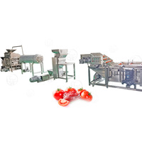 Hete Verkoop Kleine Tomatenpuree Productielijn Tomatenketchup Productielijn Kleine Tomatenketchup Verwerkingslijn