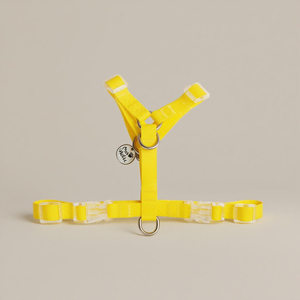 Impermeable reflectante personalizado amarillo XL tamaño en forma de Y arnés para perros transpirable recubierto de PVC estilo de moda Simple elegante mascota - Product Image 1