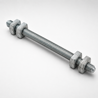 Boulon à double armature, service ODM, haute résistance, galvanisé à chaud, filetage GB/T 35 pour fixation parallèle de deux traverses sur les poteaux de distribution