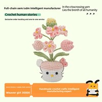 Pot de fleurs en crochet en forme de chat de dessin animé, bouquet de petites fleurs en fil acrylique, fait main, décoration intérieure pour marché