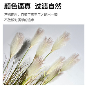 Plantas Artificiales de Césped Cola de Zorro en Maceta, 70-120 cm de Altura, Simulación Realista, Decoración Interior, Accesorios de Fotografía - Product Image 5