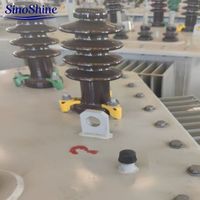 SinoShine S22 Dış Mekan Tamamen Sızdırmaz Yağlı Güç Trafosu 10kV 0.4kV 3 Faz Fabrika Direkt Tedarik