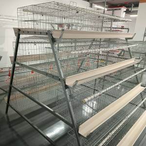 Système de <span class=keywords><strong>cage</strong></span> à poules pondeuses de type batterie pour 1000 oiseaux, équipement d'élevage de poulets galvanisé, vente chaude - Product Image 6