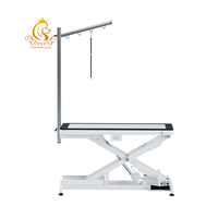 EUR PET Table de toilettage électrique simple et de luxe facile à utiliser Offre Spéciale pour grands animaux de compagnie pour chats et chiens