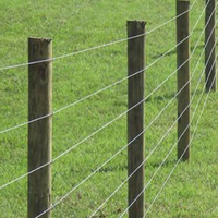 Fil d'acier galvanisé à froid, entièrement dur, sans paillettes, revêtu de zinc-aluminium, norme AISI, 2,4*3,0 mm, pour treillis de vignoble