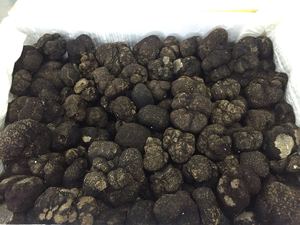 DETAN 2023-2024 Nueva temporada Trufas negras frescas de invierno chino salvaje <span class=keywords><strong>Precio</strong></span> de exportación - Product Image 6
