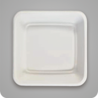 Plateau carré jetable pour gâteau d'anniversaire et dim sum, emballage à emporter biodégradable en bagasse de canne à sucre, assiettes à dessert, barbecue et collations