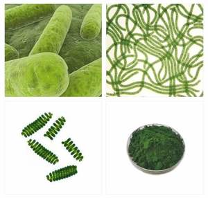 Ausreson أخضر طحلب سبيرولينا بالإضافة إلى كلوريلا سوفتجيل نحيف مكمل للرعاية الصحية الدهون الموقد كبسولات سبيرولينا سوفتجيل - Product Image 5