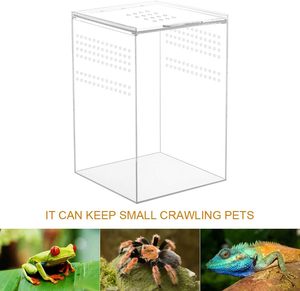 Thân thiện với môi trường Acrylic nhảy nhện môi trường sống côn trùng Terrarium lỗi và cầu nguyện Mantis bao vây ếch nơi trú ẩn hiển thị giá - Product Image 3