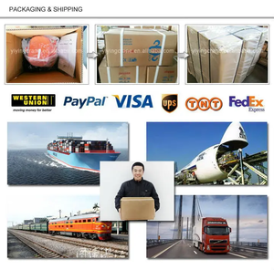 Hugo 250 kg 300 kg 30 m Moteur 2 poteaux Machine de levage <span class=keywords><strong>Mini</strong></span> treuil Treuil électrique à câble métallique - Product Image 6