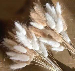 Bouquet de queues de lapin décoratif personnalisé en usine Nature éternelle <span class=keywords><strong>Lagurus</strong></span> Ovatus sec fleurs séchées conservées - Product Image 1